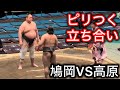 【三段目】観客騒然!?鳩岡vs高原 三月場所五日目
