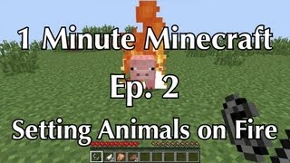 Setting Animals on Fire | 1 Minute Minecraft: Ep. 2