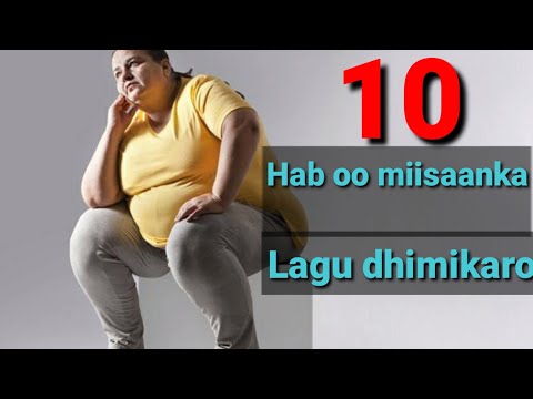 10ka |  Hab ee aad miisaanka iskaga ridi karto