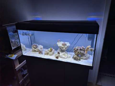 Wahnsinnsentwicklung im Biotop-Becken!