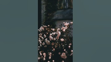 ﴿ أَمَّن يَهْدِيكُمْ فِي ظُلُمَاتِ الْبَرِّ وَالْبَحْرِ ﴾ | احمد النفيس - سورة "النمل" ﴿ ٦٣ ﴾