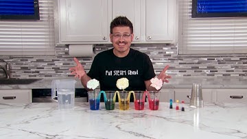 Colored Carnations - Capillary Action | 5 Minute Science