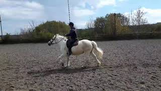 joust practice at the quintain