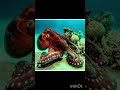 OCEAN Mystery