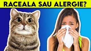 JUST A COLD OR A CAT ALLERGY? HOW TO TELL THE DIFFERENCE