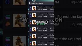 Peanut the Squirrel: The Memecoin Frenzy Explained! 🐿️#PeanutTheSquirrel #Memecoins #Crypto #Solana