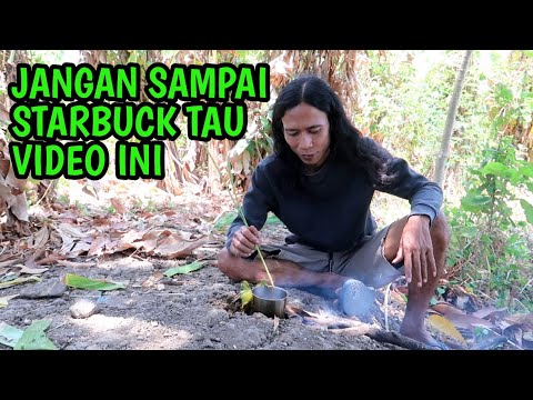SURVIVAL PRIMITIVE DI KEBUN Membuat ramuan kopi bahan dari alam dengan rasa S4di5