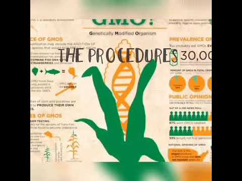 GMO- CORN ORGANISM
