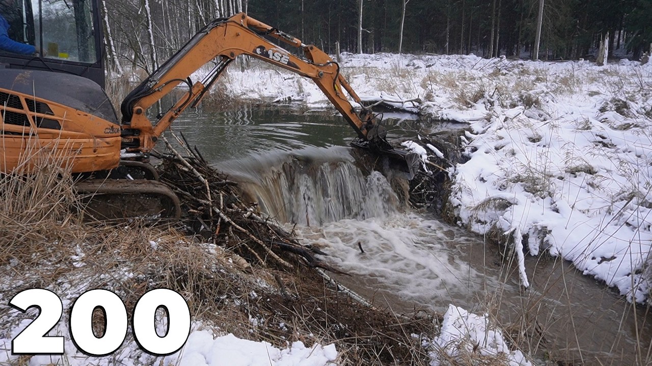 Beaver Dam Removal With Excavator No.200