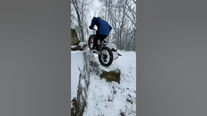 RC and Fatbike Sharing the Snow Shred