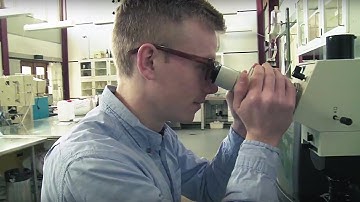 Study Food Science and Technology at the University of Copenhagen