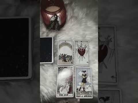 Tarot Reading |