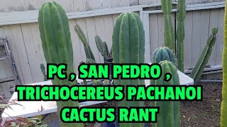 PC , SAN PEDRO , TRICHOCEREUS PACHANOI CACTUS RANT
