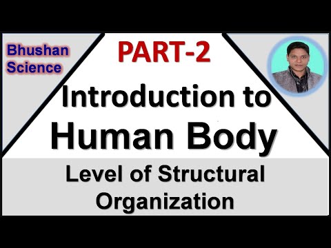 Part 2 : Intro to Human Body | Level of Structural Organization | B. Pharm | Nursing | GPAT