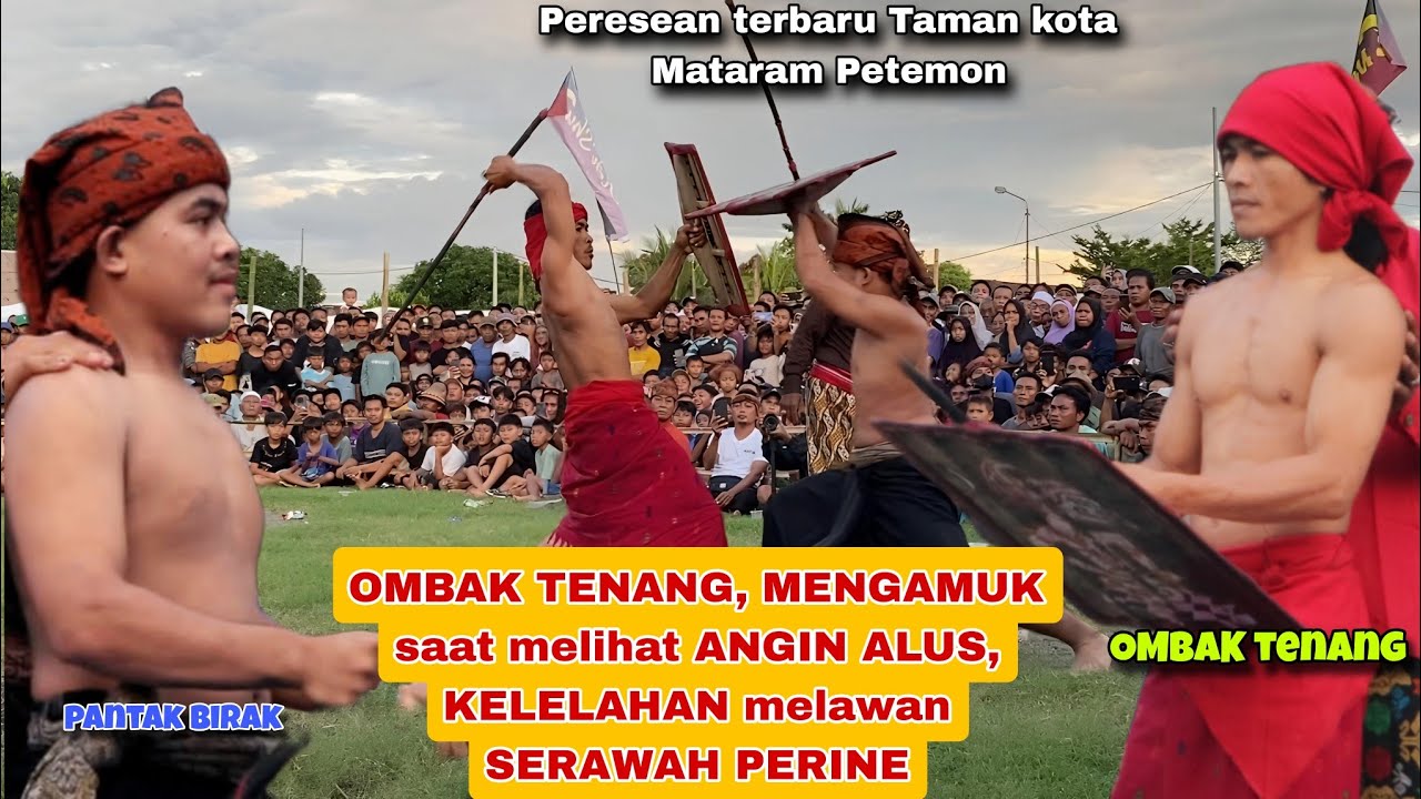 OMBAK TENANG, MENGAMUK saat melihat ANGIN ALUS, KELELAHAN melawan SERAWAH PERINE peresean petemon