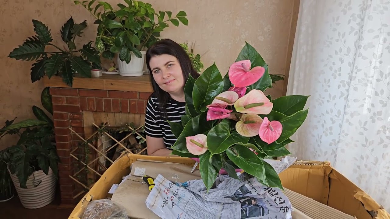 Распаковка совместной закупки ЗАМИОКУЛЬКАСОВ Тай