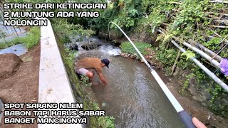 Download Lagu Mancing dari Ketinggian Bikin Panik Saat Strike Babon  MP3