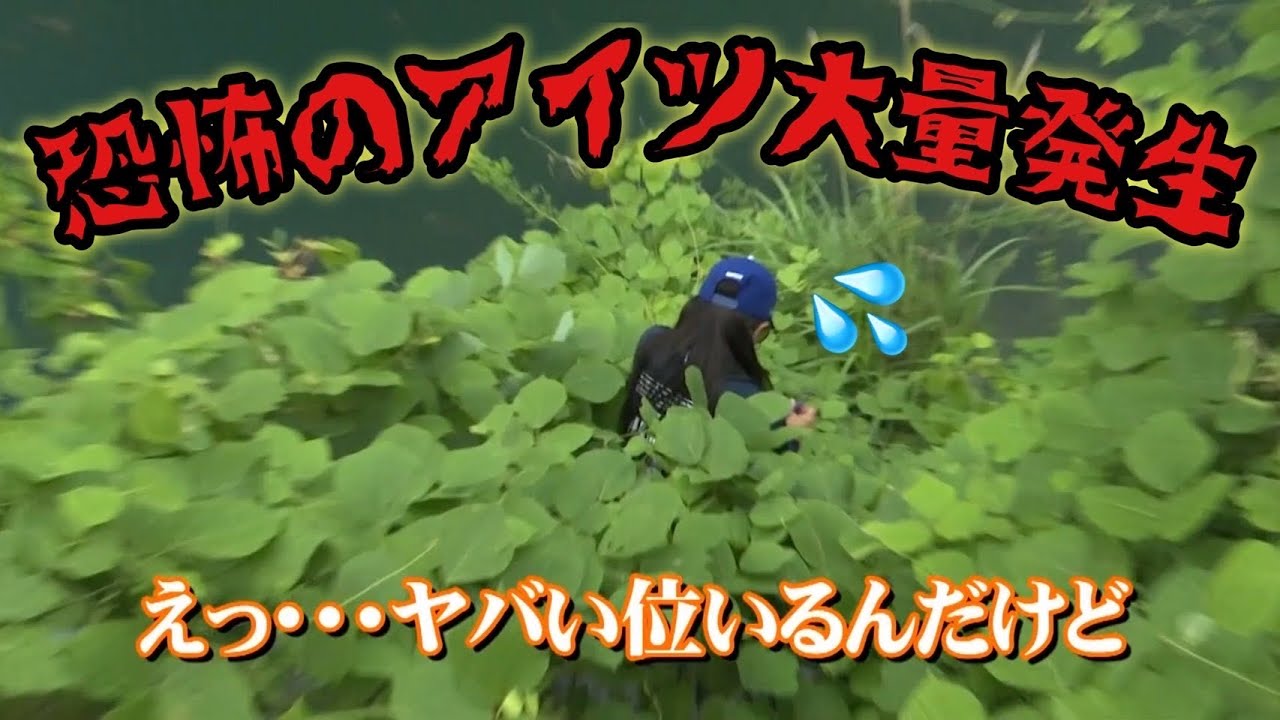 ANOTHER FISHING STYLE #11  新作ルアーでガンバレ！おすず ワケあり合川ビッグバスSTYLE‼