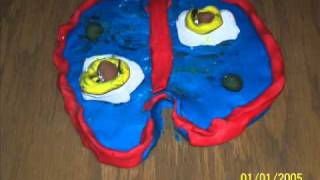 Mitosis Claymation