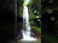 Cinematic Journey Through the Amazon Rainforest