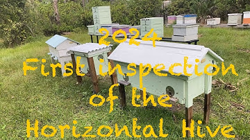 First inspection of the Horizontal Long Hive of 2024!!! Very pleased!!!!