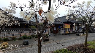 [4K] 한국관광 100선 안개낀 전주한옥마을의 풍경을 보며 산책,  Walking around the foggy Jeonju Hanok Village