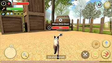 Cat Simulator 2020 Gameplay - Walkthrough (iOS, Android) #2