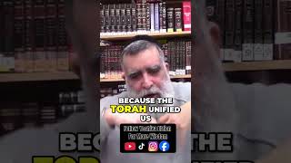 Torah's Wisdom: Unity vs. Division in Modern Times #shorts