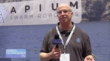 Swarm Robotics
