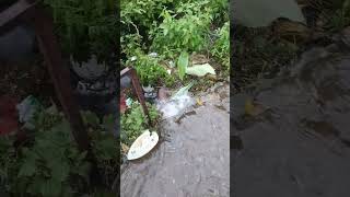 Natural Waterfall In Mountains