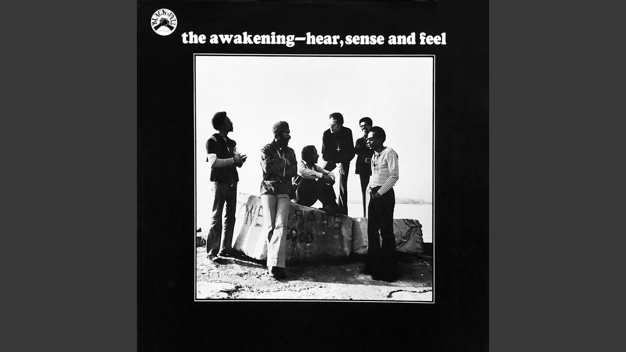 Hear Sense & Feel (LP)/AWAKENING/アウェイクニング/REAL GONEから