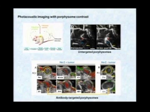 NanoBiophotonics - Prof. Brian C. Wilson ifsc results