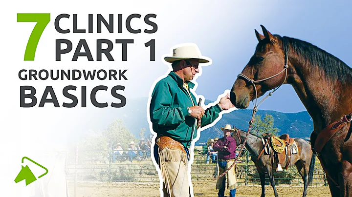 Groundwork for Beginners | 7 Clinics with Buck Bra...