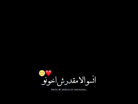 مهرجان حب عمري كيمو كينو