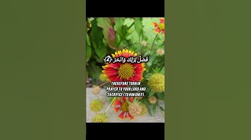Surah Kawthar with English Translationسوره الكوثر # الجليل#Sheikh Khaled Al Jalil#foryou#trending