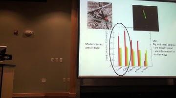 Ants, humans and the Brown lab, the metabolic ecology of social animals. Part 2 (Melanie Moses)
