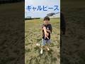 パパを『お前』と呼ぶ小6がヤバすぎたｗｗｗ