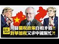 美國內部對華政策內鬥?! 墨加遭殃會轉向中國求助?! 兩黨角力會公開撕破臉?!【國際360】20250303@全球大視野Global_Vision