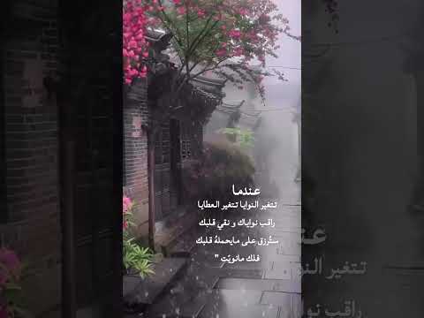 عندما تتغير النوايا تتغير العطايا راقب نواياك و نقي قلبك سترزق على مايحمله قلبك فلك مانويت