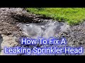How To Fix A Leaking Sprinkler Head Step By Step