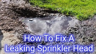 How To Fix A Leaking Sprinkler Head Step By Step
