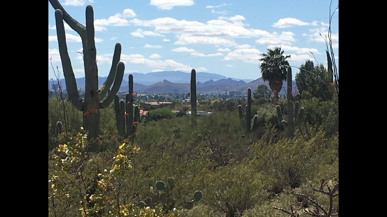 Catalina Foothills Custom Home Lot  - 2939 E  Camino A Los Vientos, Tucson
