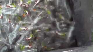 Product Destruction of Clear Plastic Bottles by RECORDSHRED