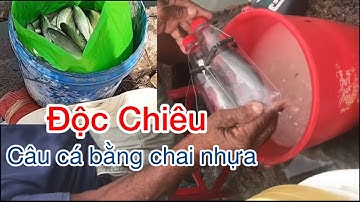 Câu Cá Hiệu Quả Với Chai Nhựa Và Bột Mì – Săn Bắt Miền Tây Kéo Liên Tục!