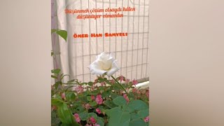 Düşünmek Çözüm Olsaydı Hâlen Düşünüyor Olmazdın, Ömer Han Samyeli, Karakoç, Özdemir