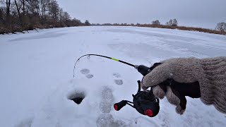 Два Дня Приезжал К Рыбным Лункам! Щедрый Лёд На Реке! Ловля Щуки На Балансир.