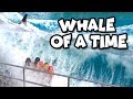 We Get Splashed by a Whale at SeaWorld Ocean Adventure. Totally TV