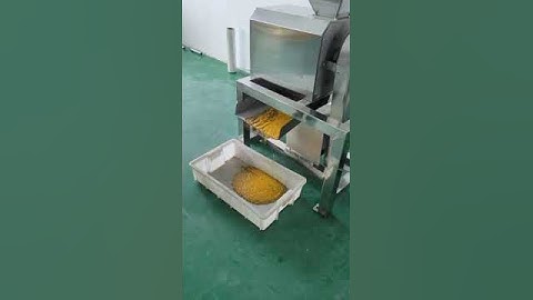 Mango pulper multifunctional fruits and vegetables pulping machine #mangopulp