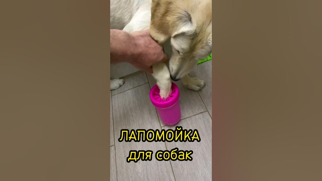 ЛАПОМОЙКА для собак. - YouTube