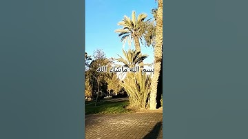 تلاوه خاشعة صوت رائع ماشاء الله القارئ الشيخ ماهر المعيقلي من سورة فاطر